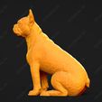 2386-Boston_Terrier_Pose_05.jpg Boston Terrier Dog 3D Print Model Pose 05