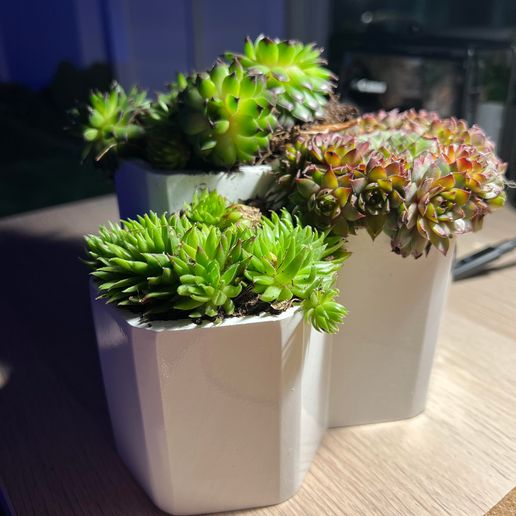 Hexagonal Flower Pot 3D model