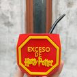 WhatsApp-Image-2023-06-12-at-17.55.07.jpeg Harry Potter Excess Mate