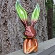 Easter Bunny