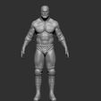 HHHFOTO5.jpg Triple H
