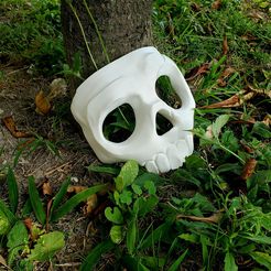 20230129_140805.jpg STL file Skull Mask・3D printer model to download