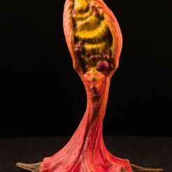 IMG_9857_rt.jpg Бесплатный STL файл Tabletop plant: "Claw Root 2" (Alien Vegetation 33)・План 3D-печати для скачивания