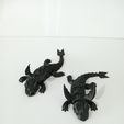 IMG20240531113618.jpg FLEXI TOOTHLESS DRAGON ARTICULATED