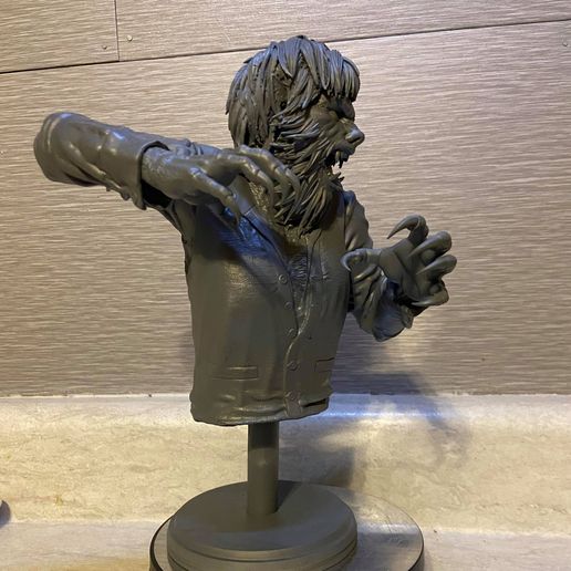 199246609_1133543007151789_7386224715206021660_n.jpg The Wolfman