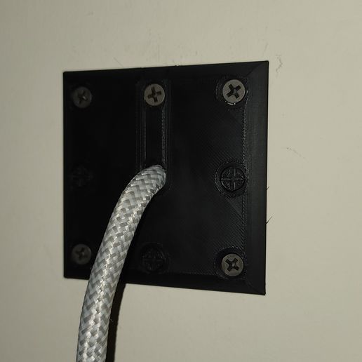 20240210_141155.jpg Passthrough Wall Plate