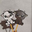 IMG_20260216_162616.jpg cow and bull cake toppers