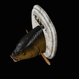 common-carp-12.png head trophy COMMON CARP (CYPRINUS CARPIO)open mouth statue 2 detailed texture for 3d printing