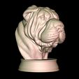 2.jpg Shar Pei Bust