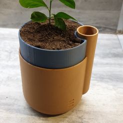 Self-Watering Planter (Small)