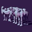 03.jpg four toy camels, for creating scenes or just for playing