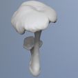 2023-04-21-10_32_19-ZBrush.jpg naturalist sculpture mushrooms girolle