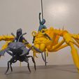 WhatsApp-Image-2026-01-13-at-5.29.47-PM.jpeg Grounded 2- Max and Orb weaver Spider