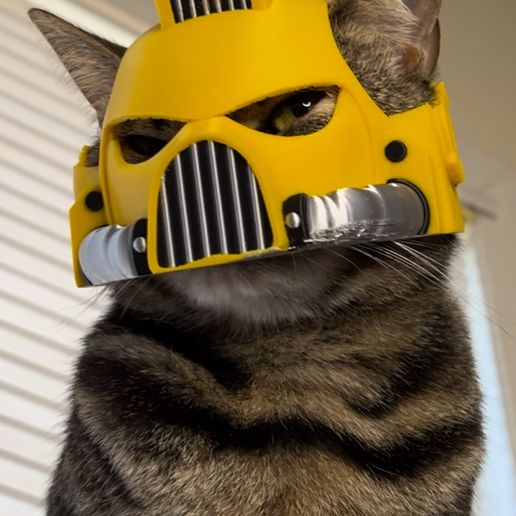 IMG_3736.jpeg SpaceMarine Cat Helmet Mark VIII