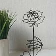 Model-rose-picture.jpeg Line art Rose