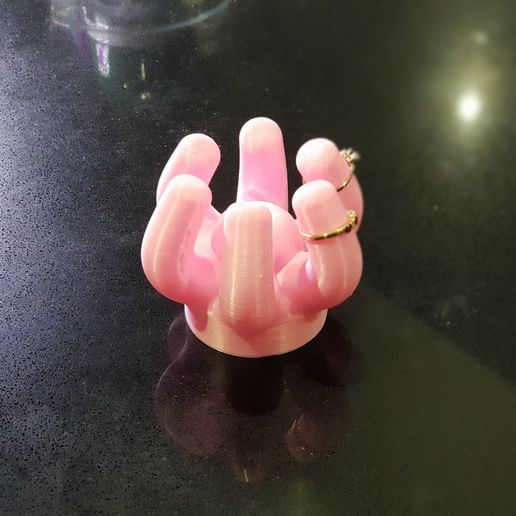 20181120_165845.jpg Dedos de anillo