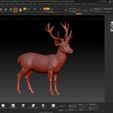 zbrush01.jpg Fallow Deer Sculpture