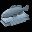 Dusky-grouper-44.png fish dusky grouper / Epinephelus marginatus statue detailed texture for 3d printing