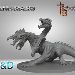 HIDRA-DRAGON.jpg HYDRA DRAGON FOR D&D