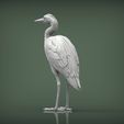heron4.jpg Heron 3D print model