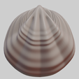 image-5.png Fan Shape Shell