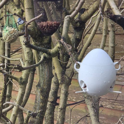 Bird feeding station - Egg