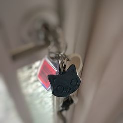 IMG_1559.JPG Cat keychain