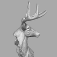 deer_18.png Deer head skulpture