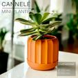 CANNELE_free-standing-planter_orange-front.jpg CANNELÉ | Fast-print mini Planter