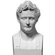 Image0001-2-1-1-278x300.jpg Бесплатный STL файл Napoleon bust・Шаблон для загрузки и 3D-печати, ThreeDScans