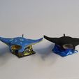 20210301_165616.jpg Manta Ray on Wave
