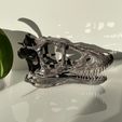 Life size baby T-rex skeleton - Part 01/10