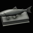 golden-dorado-statue-box-1-40.png fish golden dorado / Salminus brasiliensis with storage space / for 3d printing