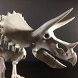 32479420311_f11e807769_k.jpg Triceratops prorsus Skeleton