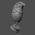 24.jpg Eagle