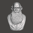 Leo-Tolstoy-1.png 3D модель Льва Толстого - высококачественный STL файл для 3D печати (ПЕРСОНАЛЬНОЕ ИСПОЛЬЗОВАНИЕ)