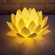 4.jpg Nymphaea Siam Blanco - Luz de noche LED Modelo de impresión 3D 🌸
