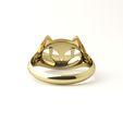 cat-ring-3.jpg Cat ring