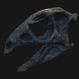 Schermafbeelding-2023-06-18-234310.png Dryosaurus Altus
