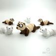 1.jpg Cute Ferret Articulated