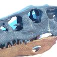 Indoraptor-skull-model-3d-print-20.jpg Indoraptor skull 3d print 30cm