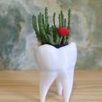 IMG_20200804_182211.jpg Jarrón de dientes - Vaso de dente (EASY PRINT NO SUPPORT)