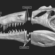 spinosaurus-dinosaur-skull-3d-printing-223634.png Spinosaurus Dinosaur Skull
