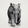 Elephant 01 -A05.png Elephant 01