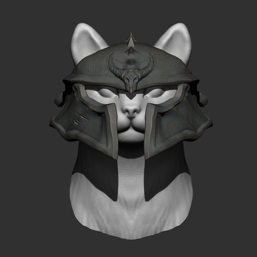 ZGrab01.jpg Dragon Age Helmet Cat
