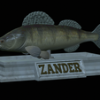 Zander-statue-6.png fish zander / pikeperch / Sander lucioperca statue detailed texture for 3d printing