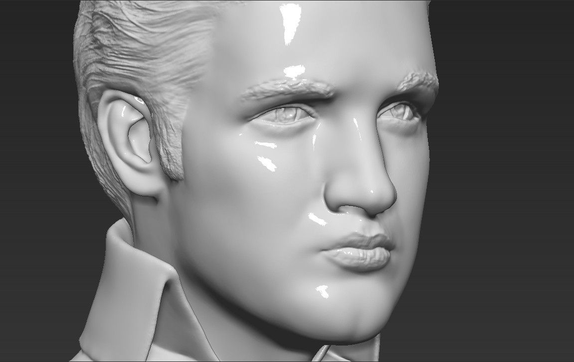 16.jpg 3D file Elvis Presley bust 3D printing ready stl obj・Template to download and 3D print, PrintedReality