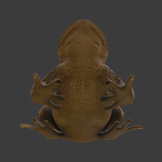 Screenshot-2025-10-30-alle-22.38.49.png Sapo