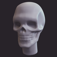 14.png 14 sculpted heads