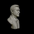 28.jpg George Clooney 3D print model